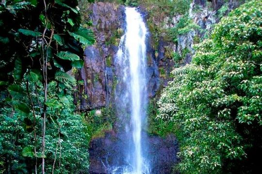 Maui: Small Group Road to Hāna Tour 6 to 8 passengers