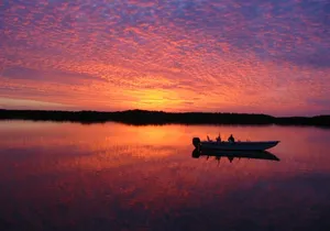 Everglades Small Group Guided Boating and Walking Expedition