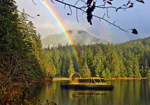Hovercraft Eco Adventure and Wildlife Viewing
