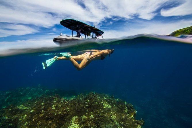 Premium Kona Coast Morning Snorkel