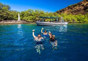 Premium Kona Coast Morning Snorkel