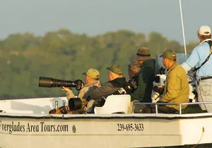 Private Everglades 10,000 Islands Photo and Birding Boat Safari