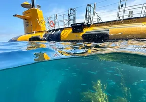 Yellow Semi-Submarine Tour of Catalina Island From Avalon