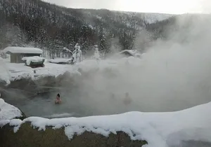 Chena Hot Springs Aurora Tour
