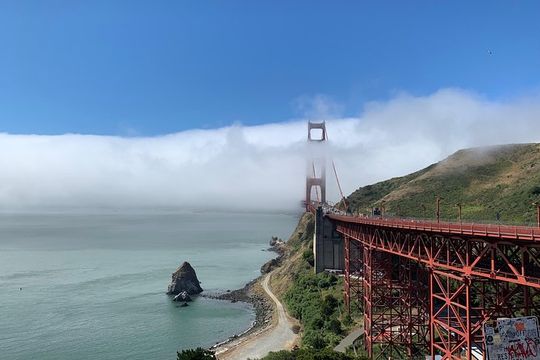 Private Tour Muir Woods and Sausalito