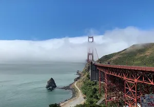 Private Tour Muir Woods and Sausalito