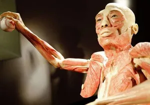 Bodies The Exhibition at the Luxor Hotel and Casino