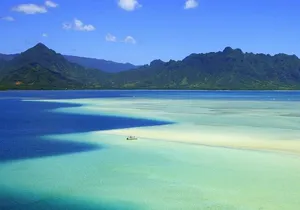 Kaneohe Sandbar Snorkeling Tour - 2nd Tour