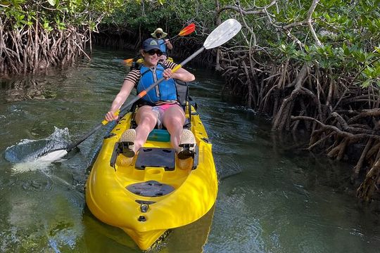 Mangrove Tunnel Kayak Adventure in Key Largo