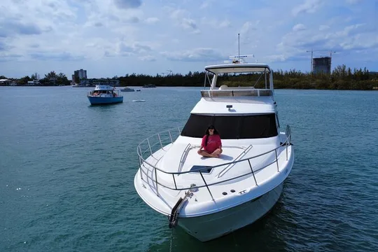 Miami Private 52 ft Boat Tour | Sandbar, Dolphins & Biscayne Bay!
