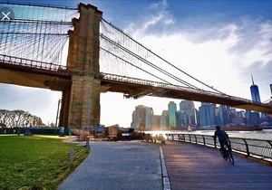 Contrasts of New York Tour: Harlem, The Bronx, Queens, and Brooklyn