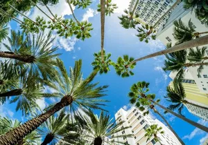 Miami Beach Art Deco & History Bike Tour with Design Enthusiast