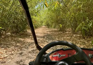 Orlando Dune Buggy Tour