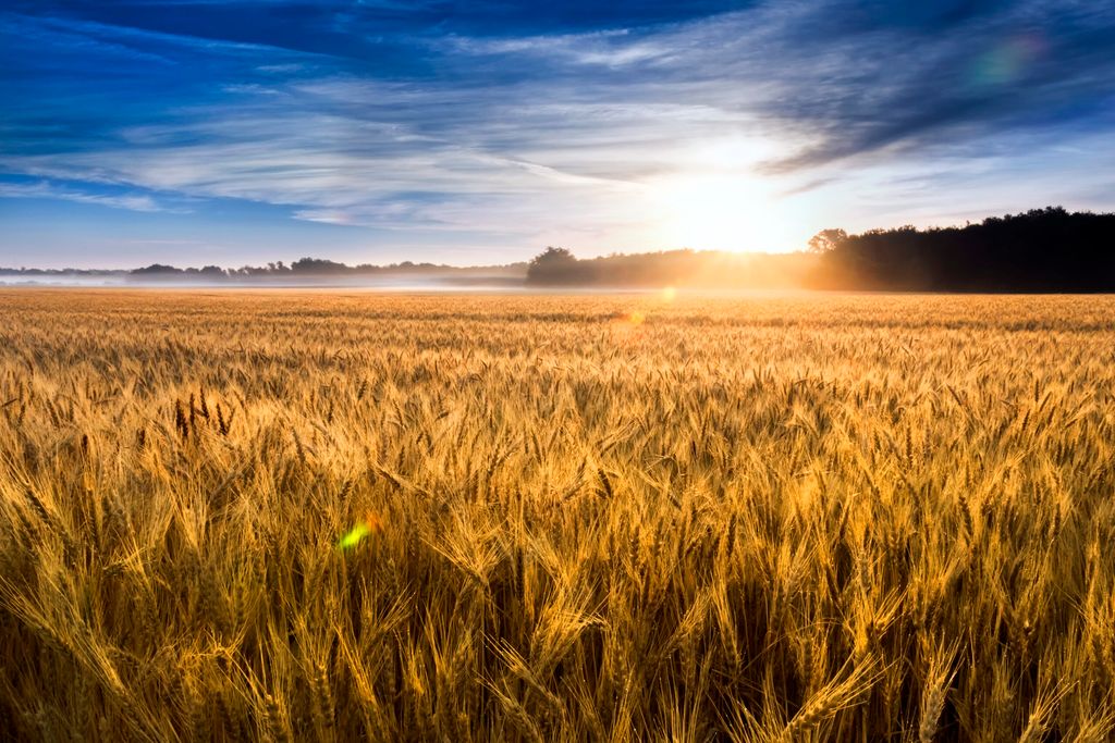 Kansas