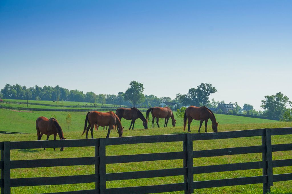 Kentucky