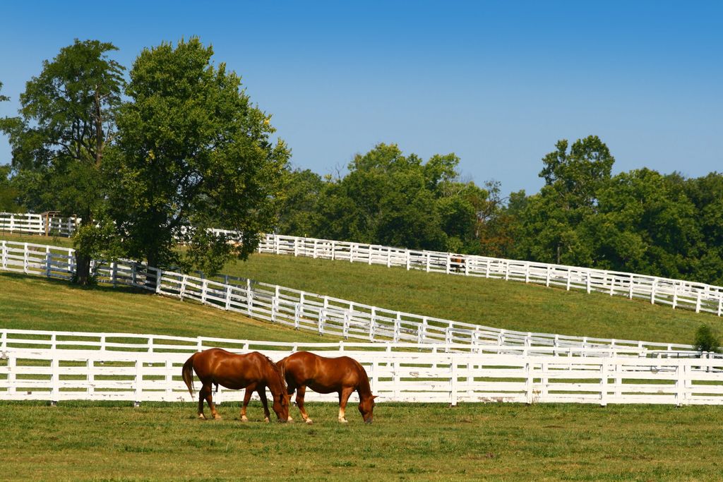 Lexington