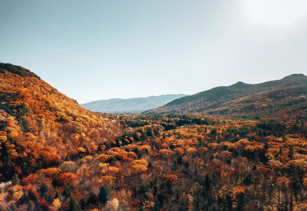 New Hampshire