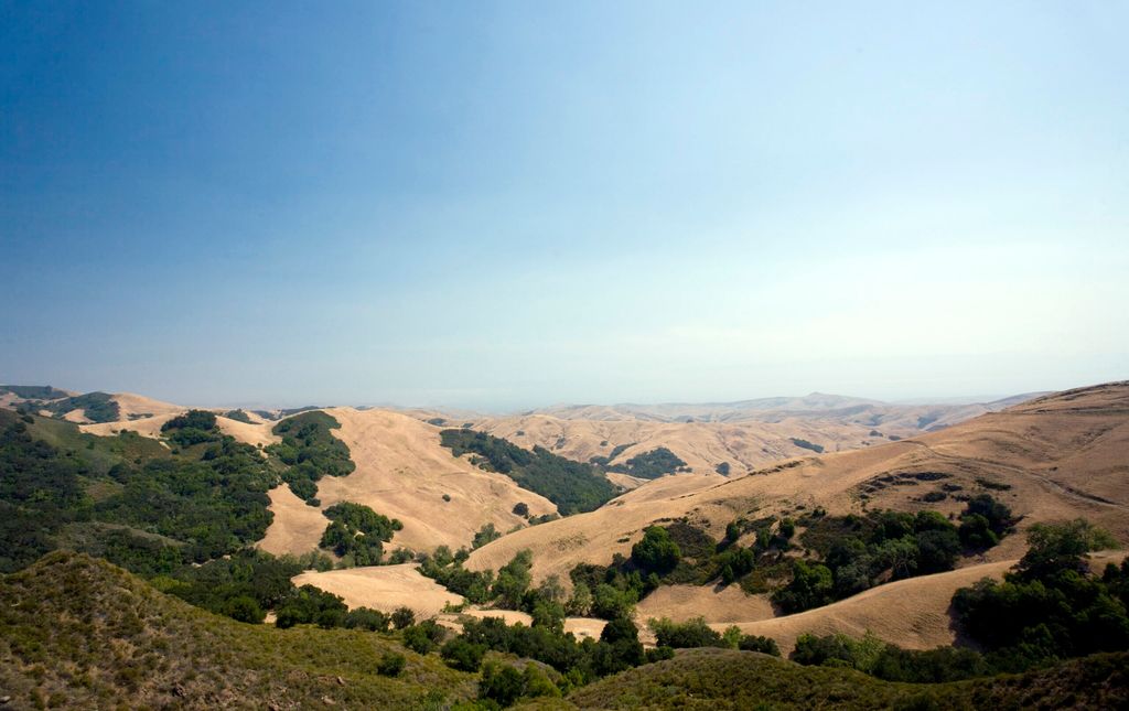Paso Robles