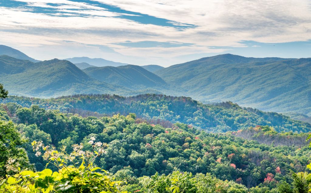 Pigeon Forge