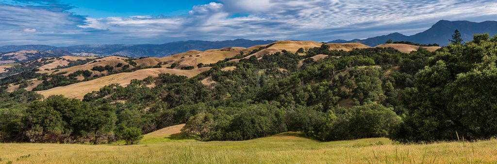 Santa Rosa