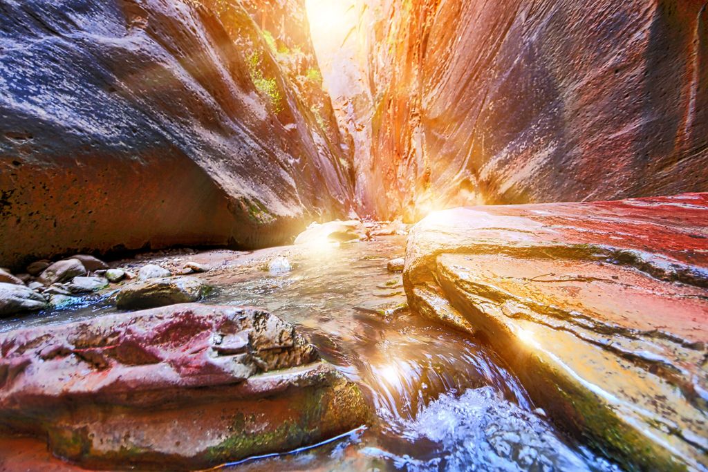 Zion National Park