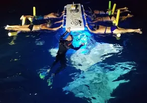 KONA Manta Ray Night Snorkel - FREE re-ride if no Sightings