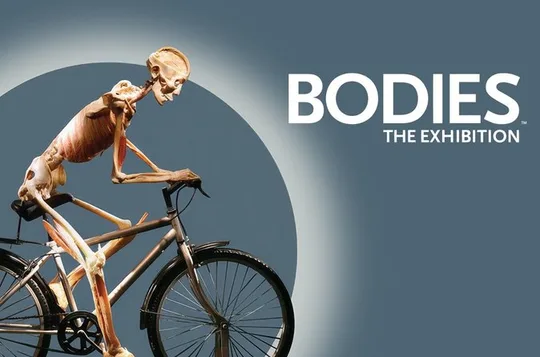 Bodies The Exhibition at the Luxor Hotel and Casino
