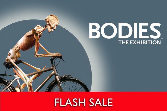 Bodies The Exhibition at the Luxor Hotel and Casino