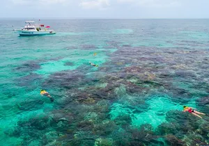 Key Largo Snorkeling Tour - rental mask, fins and vest INCLUDED