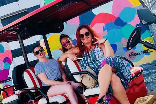 1 Hour WYNWOOD BUGGIES tour