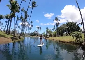 Historic Hilo Bay & Coconut Island SUP Adventure
