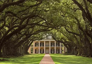 Swamp Boat Ride and Oak Alley Plantation Tour from New Orleans