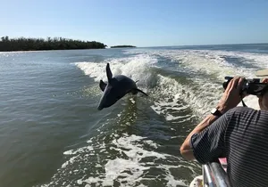 Everglades Day Safari from Ft Lauderdale