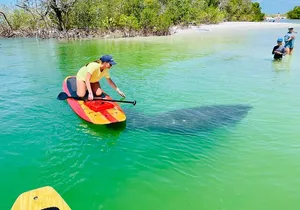 Dolphin and Manatee Adventure Tour of Fort Myers