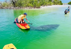 Dolphin and Manatee Adventure Tour of Fort Myers