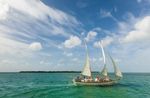 Private Key West Morning Sail, Snorkel & Kayak Excursion (up to 22 guests) Image 5
