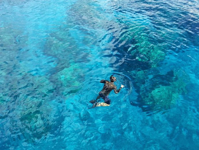 Key West Dolphin Watch & Snorkel Image 3