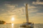 Key West Catamaran Dolphin Watch & Sunset Sail Image 2