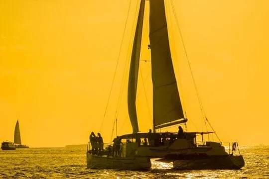 Key West Catamaran Dolphin Watch & Sunset Sail