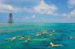 Key West Snorkeling Adventure Image 1