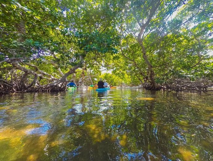 Key West Full-Day Catamaran Eco Tour Image 5