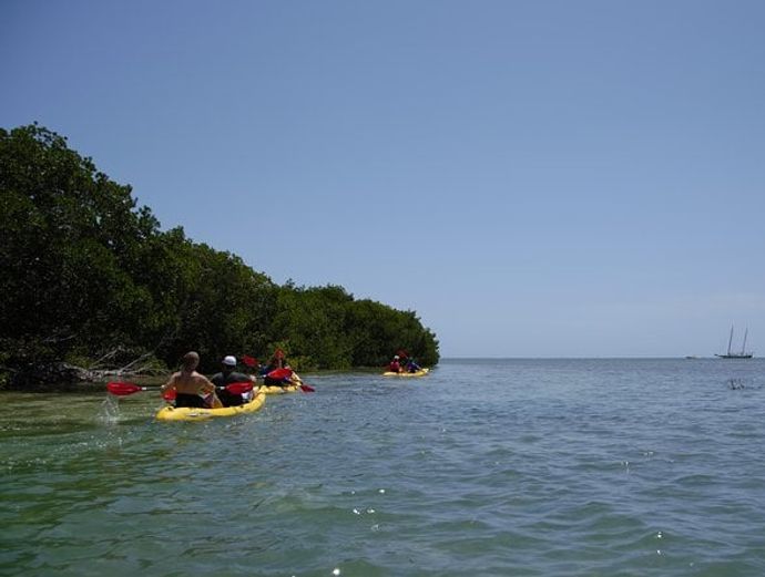 Key West Schooner Appledore Backcountry Eco-Tour: Sail, Snorkel & Kayak Image 5