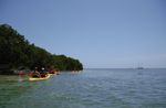 Key West Schooner Appledore Backcountry Eco-Tour: Sail, Snorkel & Kayak Image 5