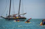Key West Schooner Appledore Backcountry Eco-Tour: Sail, Snorkel & Kayak Image 2