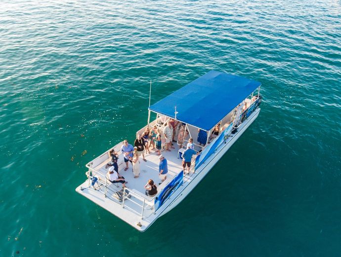 Key West Dolphin Watch & Snorkel Image 4