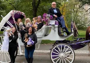 NYC Central Park Horse and Carriage Ride: Long Ride 45 min