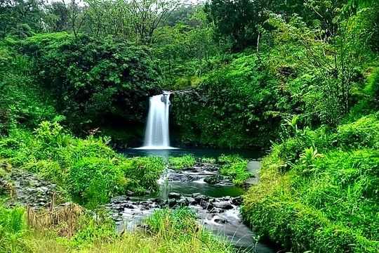 Rainforest Tour to Hana and Beyond
