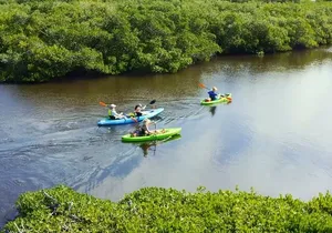 Kayaking the Canals of Venice, FL