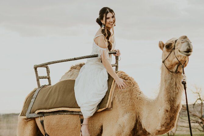 Camel Ride and Guided Zoo Tour at Camel Safari