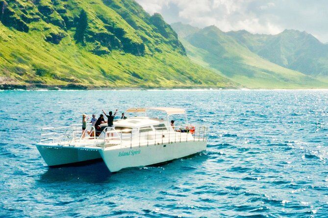 Private Cruise Swim with Dolphin